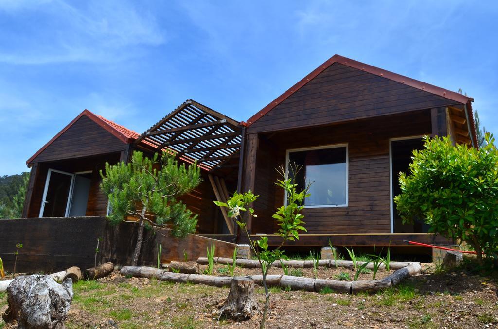 Villa De Paco Sever do Vouga Ngoại thất bức ảnh