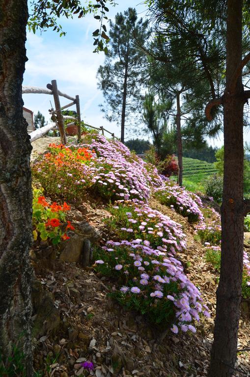 Villa De Paco Sever do Vouga Ngoại thất bức ảnh